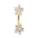 Double Flower Rook Piercing - Titan