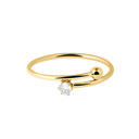 Elegance Around Ring 14K Vergoldet