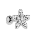 Everlasting Star Piercing - Titan