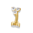 Hi-Life Lilly Rook Piercing - Titan