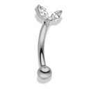 Little Lotus Rook Piercing