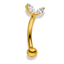 Little Lotus Rook Piercing