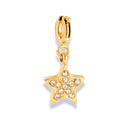 Twinkle Star Charm 14K Vergoldet