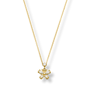 Crystal Butterfly Kette 14K vergoldet