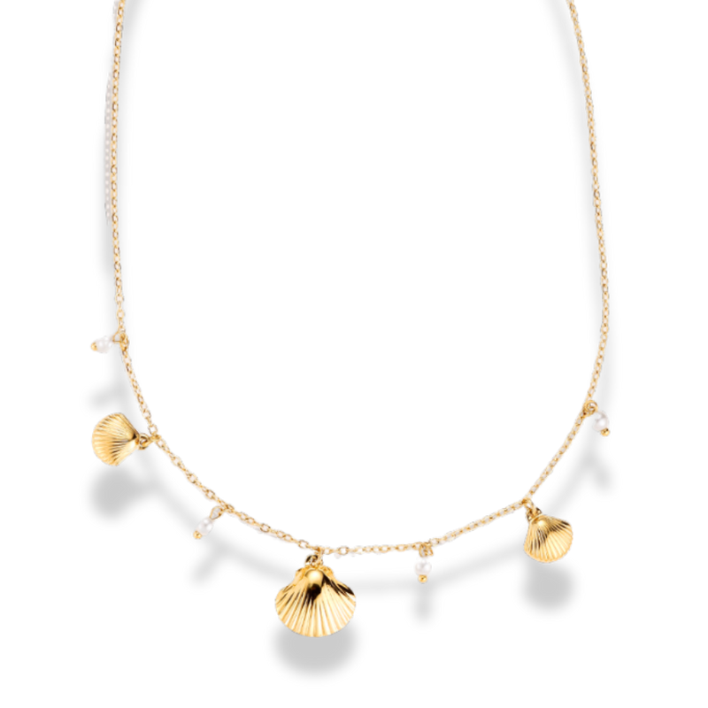 Elegant Shell Charm Necklace 14K Gold Plated