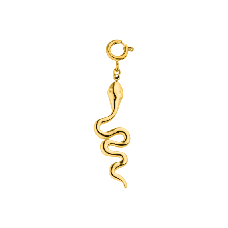 Everlasting Lucky Snake Charm