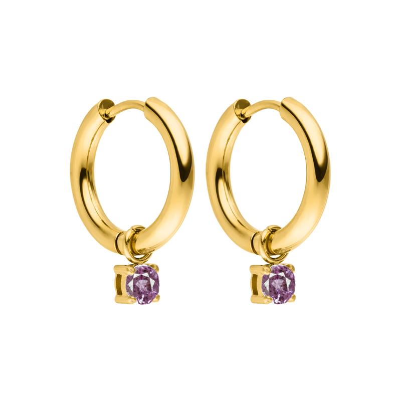 Elegance Birthstone Huggie Earrings 14K Gold Plated