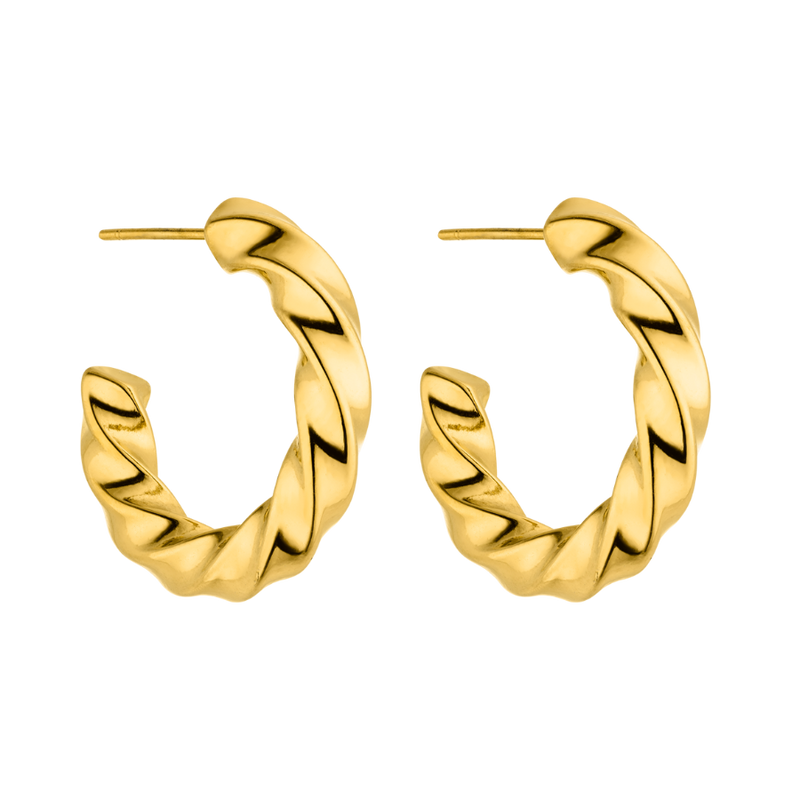 Glamorous Bold Earrings 14K Gold Plated
