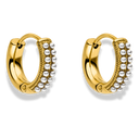 Glorious Pearl Huggie Ohrringe 14K Vergoldet