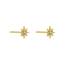 Northern Star Ohrstecker 14K Vergoldet