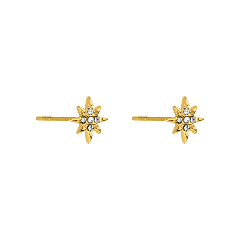 Northern Star Stud Earrings 14K Gold Plated