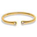 Slim Twin Pave Ring 14K Vergoldet