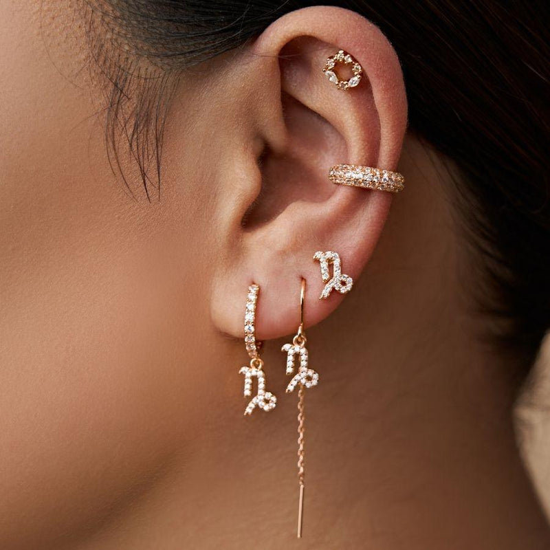 Capricorn - Zodiac Dangle Earrings