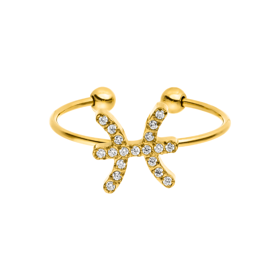 Zodiac Pave Ring 14K Vergoldet HILIFE